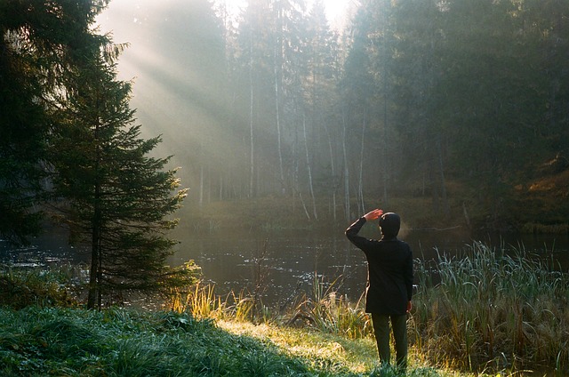 中医:肾虚的常见症状,及对症药方