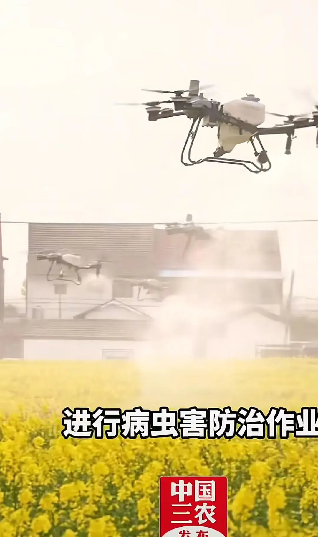 无人机病虫害防治