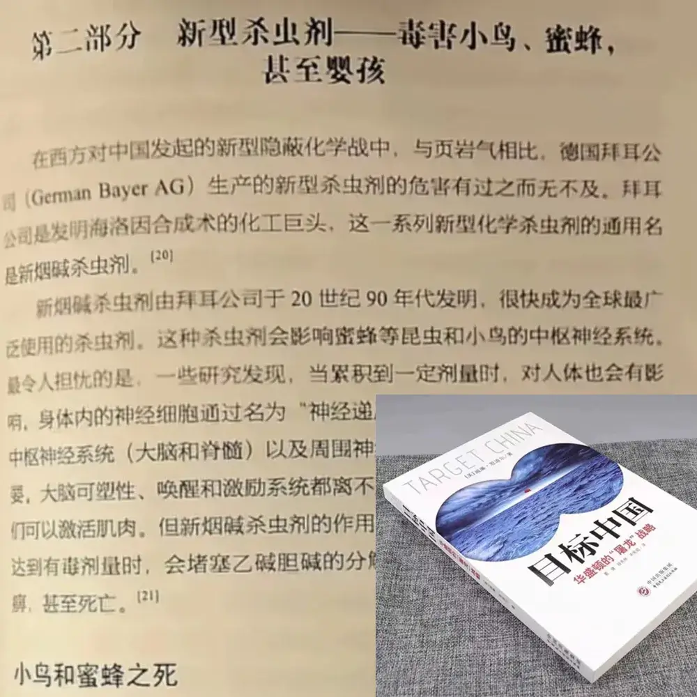 没人背锅，那就汉奸特务背